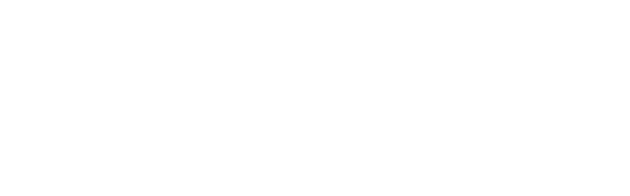 White Logo White Logo